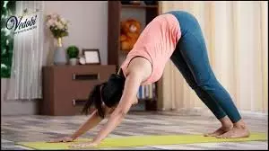 Health Tips: Winter में करें ये Yoga, एक्टिव रहने के साथ Immunity भी होगी मजबूत Health Tips: Winter में करें ये Yoga, एक्टिव रहने के साथ Immunity भी होगी मजबूत