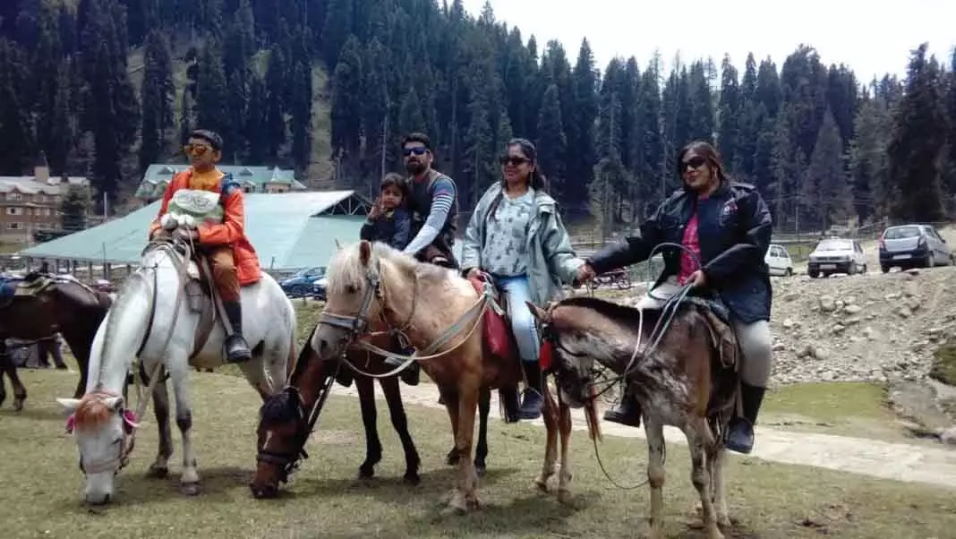 एनआईए ने पहलगाम के बैसरन में केबल कार परियोजना को हरी झंडी दी एनआईए ने पहलगाम के बैसरन में केबल कार परियोजना को हरी झंडी दी