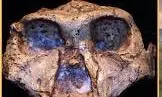 Science News: वैज्ञानिकों को मिला 20 लाख साल पुराना दांत Science News: वैज्ञानिकों को मिला 20 लाख साल पुराना दांत