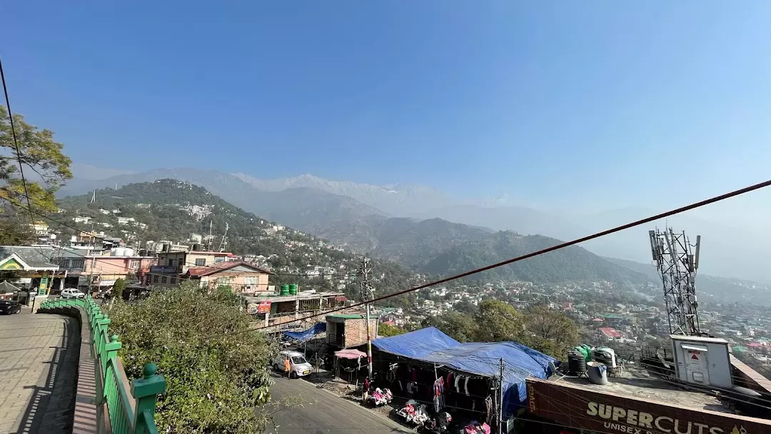 Dharamshala: राज्य में 1010.60 करोड़ की जायका परियोजना से कई क्षेत्रों में विकास तेज Dharamshala: राज्य में 1010.60 करोड़ की जायका परियोजना से कई क्षेत्रों में विकास तेज