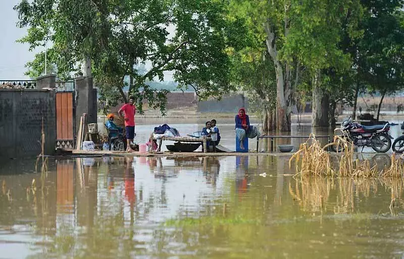 Jalandhar: बाढ़ प्रभावित 93 किसानों को मुआवजा मिला Jalandhar: बाढ़ प्रभावित 93 किसानों को मुआवजा मिला