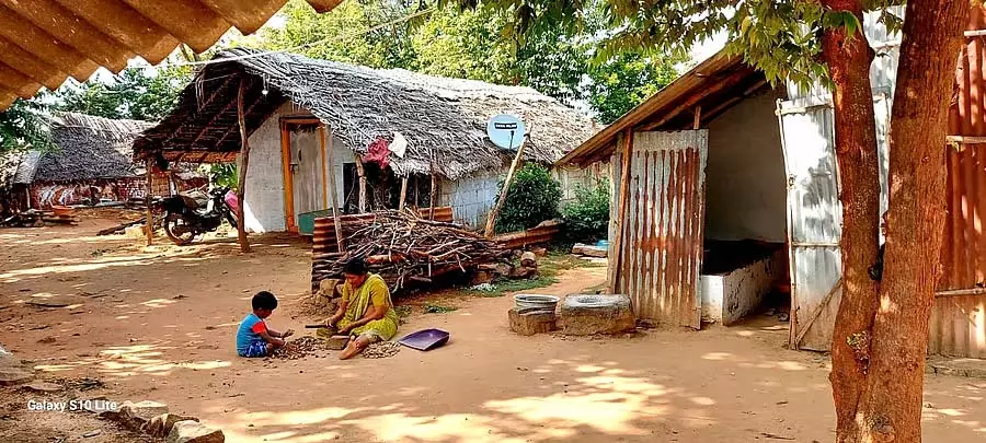 कृष्णागौड़ानाडोड्डी: आदिवासी जंगल के लिए रो रहे हैं 30 साल से घर नहीं मिला कृष्णागौड़ानाडोड्डी: आदिवासी जंगल के लिए रो रहे हैं 30 साल से घर नहीं मिला