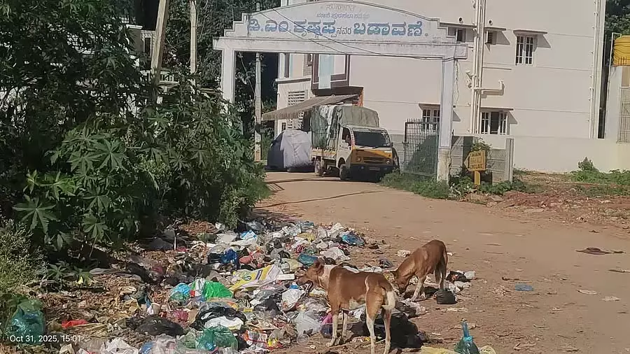 Karnataka : कई संगठनों ने मांग की है कि देवनहल्ली में भी कचरा फेंकने का त्योहार आयोजित किया जाए Karnataka : कई संगठनों ने मांग की है कि देवनहल्ली में भी कचरा फेंकने का त्योहार आयोजित किया जाए