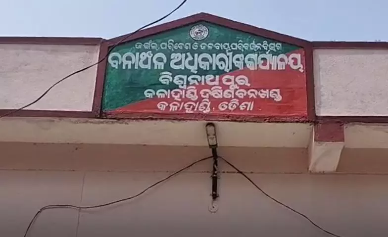 कालाहांडी में हाथी ने 7 साल के बच्चे को कुचलकर मार डाला, 5 साल के बच्चे की हालत गंभीर कालाहांडी में हाथी ने 7 साल के बच्चे को कुचलकर मार डाला, 5 साल के बच्चे की हालत गंभीर