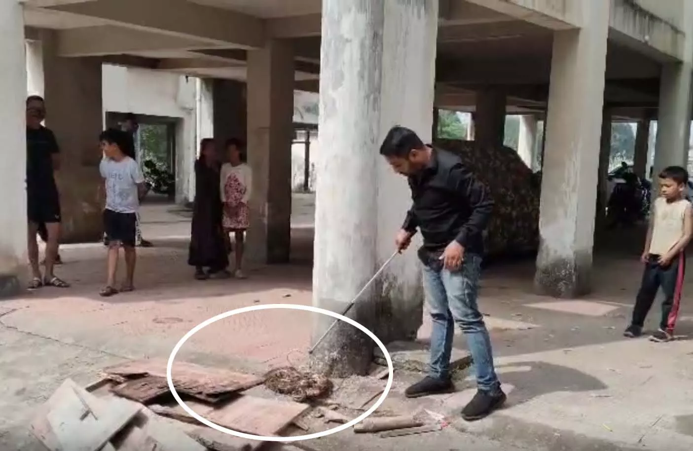 विशालकाय अजगर दिखा पुलिस कॉलोनी में, देखें खौफनाक वीडियो! विशालकाय अजगर दिखा पुलिस कॉलोनी में, देखें खौफनाक वीडियो!