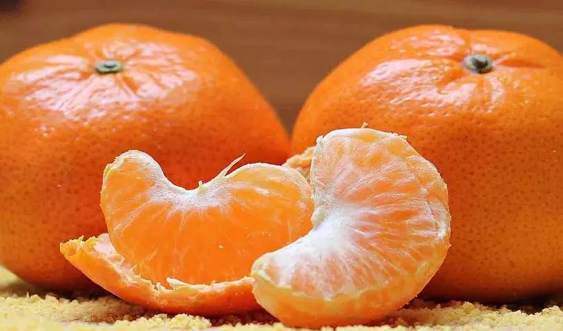 हमें यह जानने के लिए कि आपके शरीर पर क्या प्रभाव पड़ता है, प्रतिदिन एक संतरा खाना चाहिए हमें यह जानने के लिए कि आपके शरीर पर क्या प्रभाव पड़ता है, प्रतिदिन एक संतरा खाना चाहिए