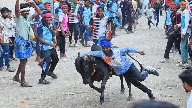 बुल-बेटिंग प्रतियोगिता: आयोजकों को नियमों का सख्ती से पालन करने का निर्देश दिया गया बुल-बेटिंग प्रतियोगिता: आयोजकों को नियमों का सख्ती से पालन करने का निर्देश दिया गया