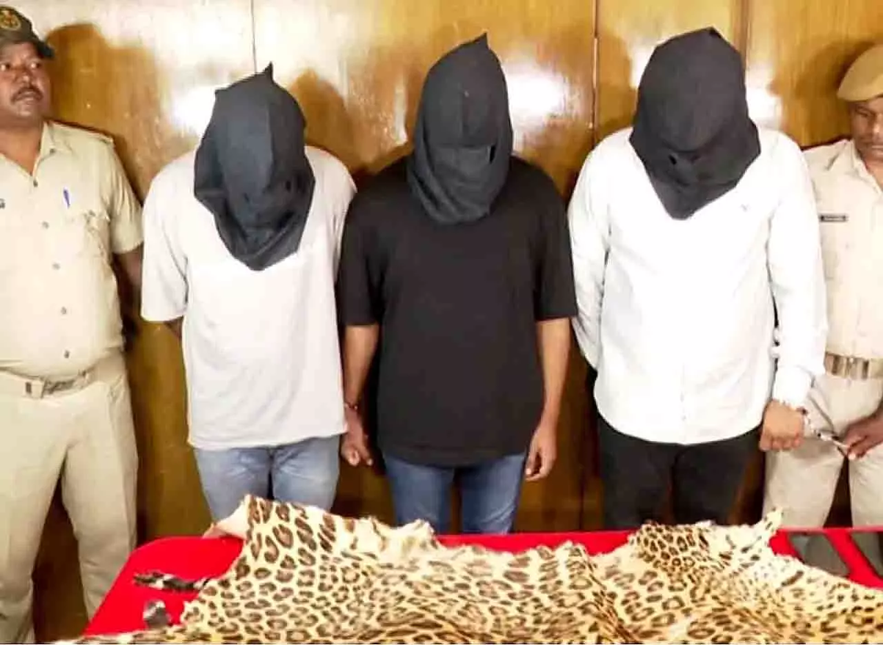 भुवनेश्वर में तेंदुए की खाल बेचने वाले गिरोह का भंडाफोड़, 3 गिरफ्तार भुवनेश्वर में तेंदुए की खाल बेचने वाले गिरोह का भंडाफोड़, 3 गिरफ्तार