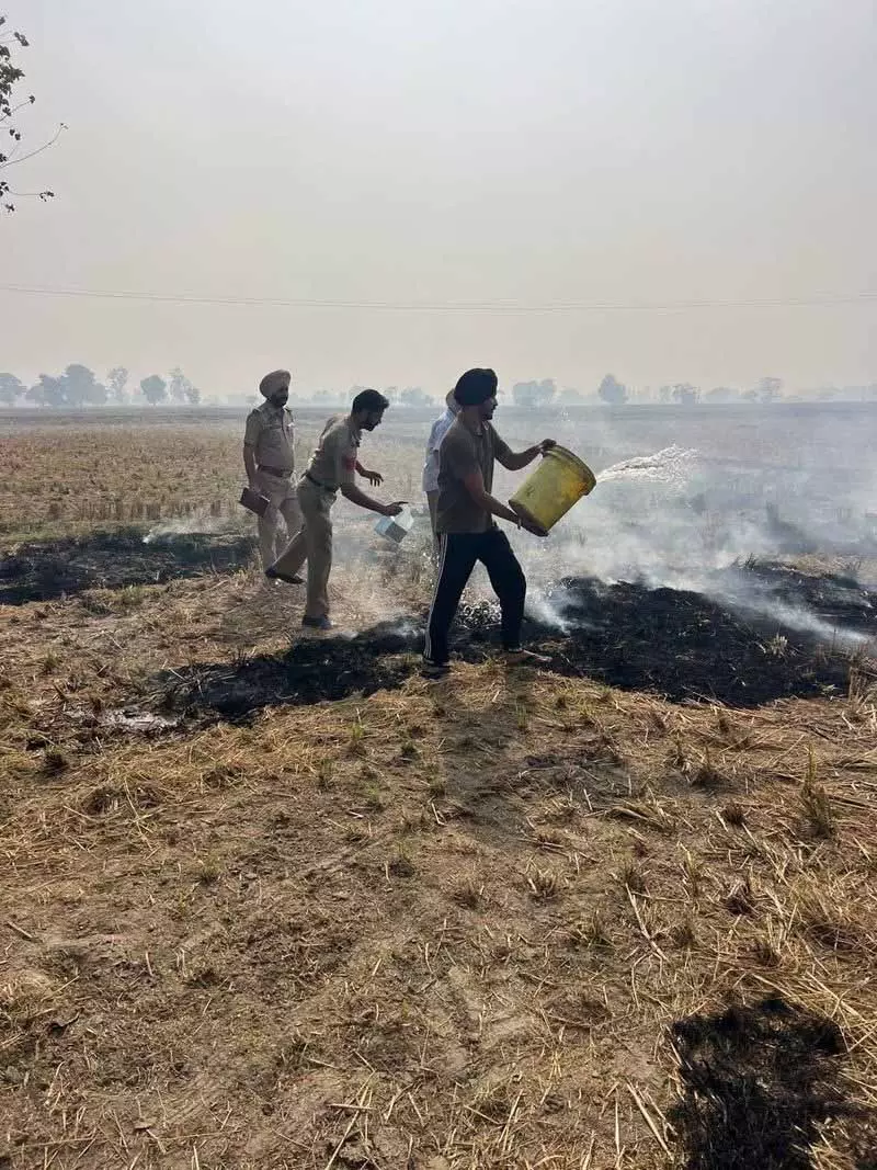 Ludhiana: पराली जलाने वाले किसानों के खिलाफ प्रशासन ने कड़ा रुख अपनाया Ludhiana: पराली जलाने वाले किसानों के खिलाफ प्रशासन ने कड़ा रुख अपनाया