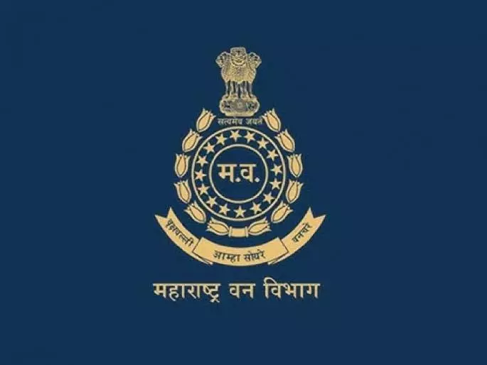 निगली गई वन भूमि की खोज के लिए SIT गठित, लेकिन समस्या का समाधान नहीं निगली गई वन भूमि की खोज के लिए SIT गठित, लेकिन समस्या का समाधान नहीं
