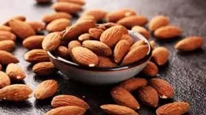 ठंड में रोज़ 10 बादाम खाने के फायदे: Health और ऊर्जा दोनों के लिए ठंड में रोज़ 10 बादाम खाने के फायदे: Health और ऊर्जा दोनों के लिए