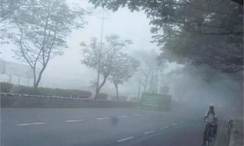Bihar Weather :  शीतलहर का प्रकोप, जानें IMD की रिपोर्ट