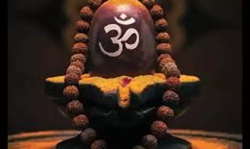 Pradosh Vrat 2025: प्रदोष व्रत के दिन शिवलिंग पर अर्पित करें ये चीजें, मिलेगा महादेव का आर्शीवाद