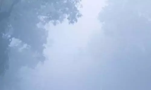 प्रदेश में अब ठंड बढ़ी, सुबह-शाम तापमान में आ रही गिरावट