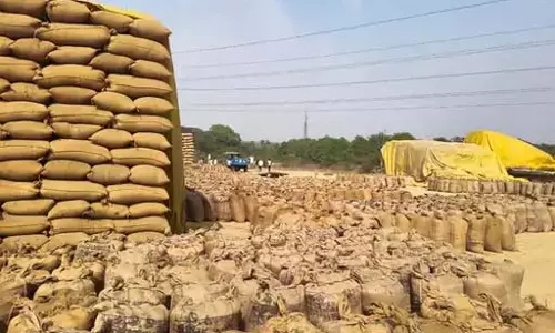 10 अंतरराज्यीय चेक पोस्ट से धान का अवैध परिवहन रोकने का इंतजाम