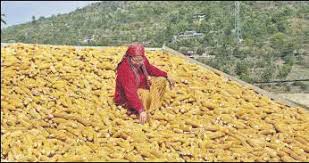 Himachal Pradesh में 4 नवंबर से ताजा बर्फबारी और बारिश की संभावना