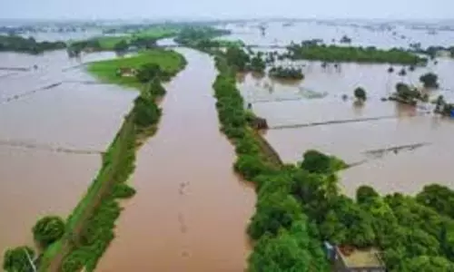 Gandhinagar: फसलें हुईं बर्बाद तो चिंतित न हों, सरकार देगी आर्थिक मदद Gandhinagar: फसलें हुईं बर्बाद तो चिंतित न हों, सरकार देगी आर्थिक मदद
