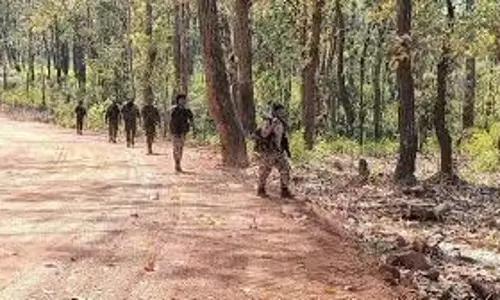 Jharkhand: जंगल में चला सर्च अभियान, भारी मात्रा में नक्सली सामग्री बरामद Jharkhand: जंगल में चला सर्च अभियान, भारी मात्रा में नक्सली सामग्री बरामद