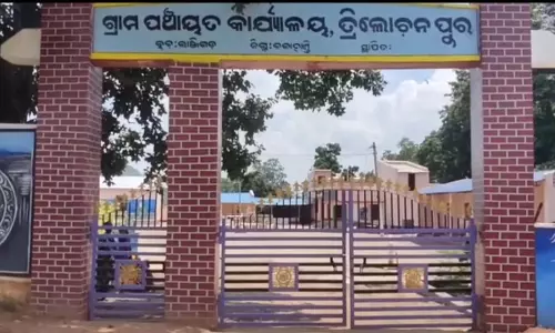 Odisha : कालाहांडी में हाथी के हमले में 7 साल के लड़के की मौत, छोटा भाई घायल