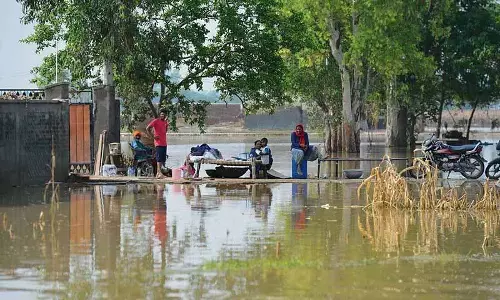 Jalandhar: बाढ़ प्रभावित 93 किसानों को मुआवजा मिला