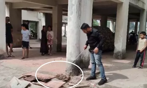 विशालकाय अजगर दिखा पुलिस कॉलोनी में, देखें खौफनाक वीडियो! विशालकाय अजगर दिखा पुलिस कॉलोनी में, देखें खौफनाक वीडियो!