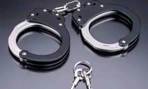 Belagavi में बिजली का करंट लगने से दो हाथियों की मौत की जांच के आदेश