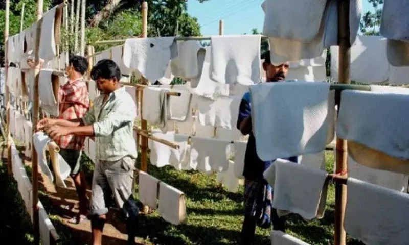Tripura में रबर आधारित उद्योगों के विकास में लॉजिस्टिक्स चुनौतियों ने बाधा डाली Tripura में रबर आधारित उद्योगों के विकास में लॉजिस्टिक्स चुनौतियों ने बाधा डाली