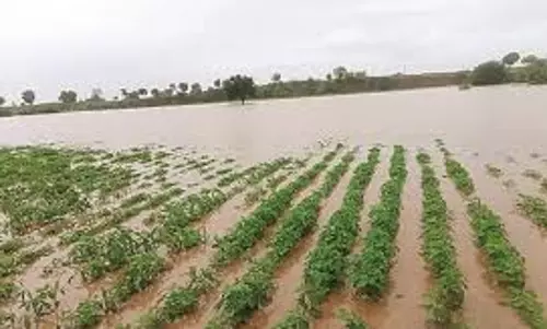 Banda: बारिश से किसानों की तबाही, कांग्रेस ने सरकार से की राहत की मांग Banda: बारिश से किसानों की तबाही, कांग्रेस ने सरकार से की राहत की मांग