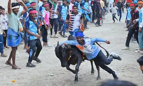 बुल-बेटिंग प्रतियोगिता: आयोजकों को नियमों का सख्ती से पालन करने का निर्देश दिया गया