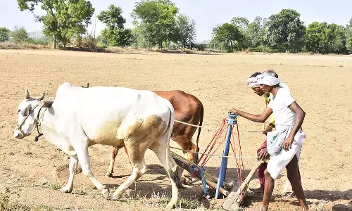 Yadgir : सर्दियों में बुवाई धीमी गति से हो रही है Yadgir : सर्दियों में बुवाई धीमी गति से हो रही है