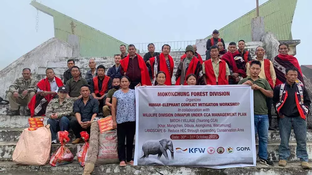 Nagaland मानव-हाथी संघर्ष कार्यशाला का आयोजन एमकेजी में किया गया Nagaland मानव-हाथी संघर्ष कार्यशाला का आयोजन एमकेजी में किया गया