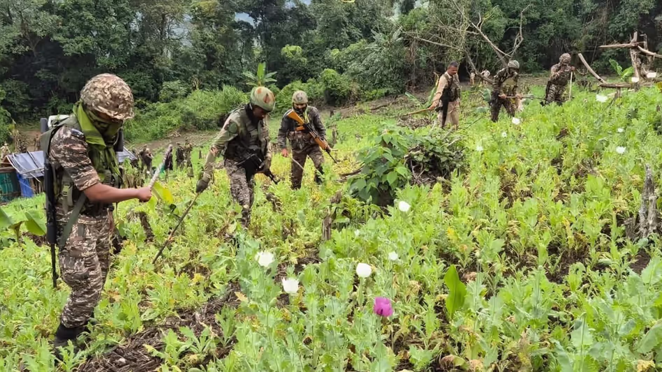 Manipur : सुरक्षा बलों ने कांगपोकपी में 30 एकड़ में लगी अफीम की खेती नष्ट की