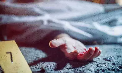 आवारा कुत्ते को बचाते हुए युवक की सड़क पर दर्दनाक मौत