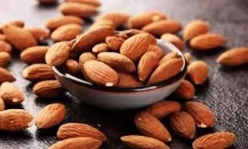 ठंड में रोज़ 10 बादाम खाने के फायदे: Health और ऊर्जा दोनों के लिए ठंड में रोज़ 10 बादाम खाने के फायदे: Health और ऊर्जा दोनों के लिए