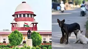 New Delhi: कुत्तों के हमले के शिकार लोगों की सुनवाई तय, सुप्रीम कोर्ट ने दी हरी झंडी New Delhi: कुत्तों के हमले के शिकार लोगों की सुनवाई तय, सुप्रीम कोर्ट ने दी हरी झंडी