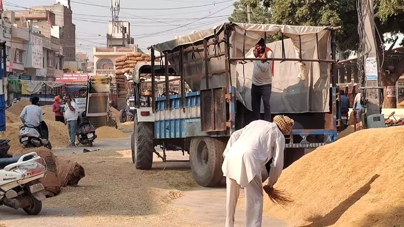 Haryana : नई डिजिटल प्रणाली से सिरसा में धान खरीद में देरी Haryana : नई डिजिटल प्रणाली से सिरसा में धान खरीद में देरी