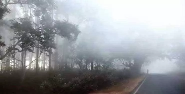 Odisha में रात के तापमान में गिरावट के साथ कोरापुट में तापमान 16°C दर्ज किया गया Odisha में रात के तापमान में गिरावट के साथ कोरापुट में तापमान 16°C दर्ज किया गया