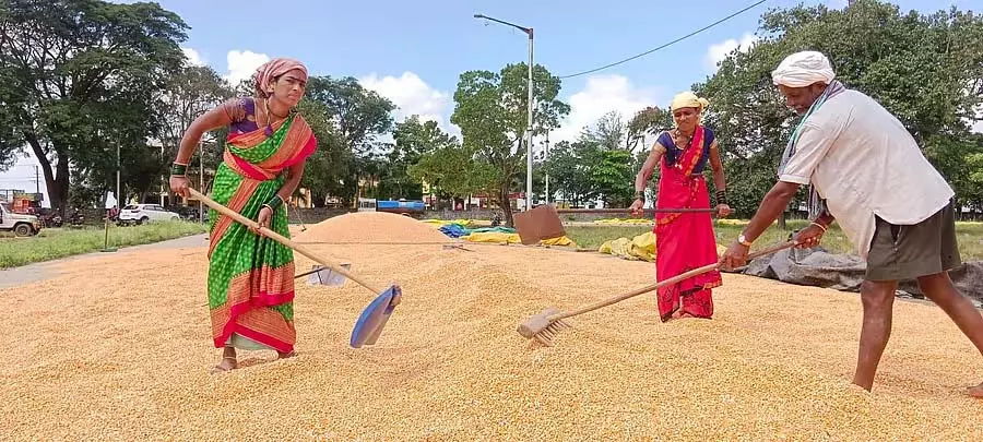 बिना खुला हुआ लोबिया खरीद केंद्र; न्यूनतम कीमत पर बेचा गया बिना खुला हुआ लोबिया खरीद केंद्र; न्यूनतम कीमत पर बेचा गया