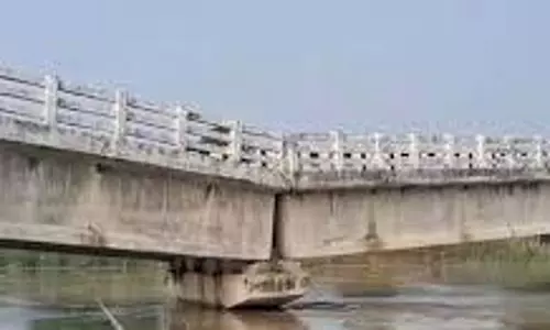 Bihar: 3.80 करोड़ रुपये की लागत से बना पुल ढहा, वाहनों की आवाजाही बंद