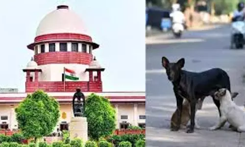 New Delhi: कुत्तों के हमले के शिकार लोगों की सुनवाई तय, सुप्रीम कोर्ट ने दी हरी झंडी New Delhi: कुत्तों के हमले के शिकार लोगों की सुनवाई तय, सुप्रीम कोर्ट ने दी हरी झंडी