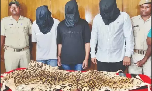 Odisha : राजधानी में बाघ की खाल की तस्करी करने वाले बड़े रैकेट का भंडाफोड़, तीन गिरफ्तार