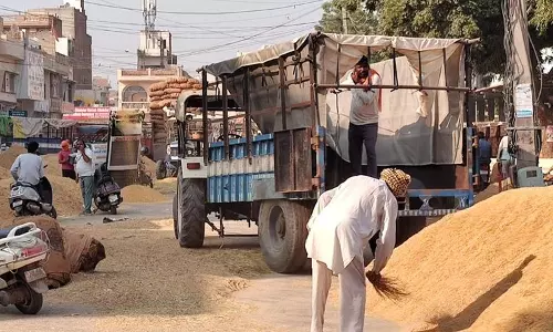 Haryana : नई डिजिटल प्रणाली से सिरसा में धान खरीद में देरी Haryana : नई डिजिटल प्रणाली से सिरसा में धान खरीद में देरी