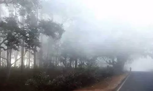 Odisha में रात के तापमान में गिरावट के साथ कोरापुट में तापमान 16°C दर्ज किया गया