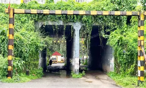 Kerala : काजुथुरूट्टी रेलवे अंडरपास जंगल से घिरा हुआ है और जीर्ण-शीर्ण अवस्था में Kerala : काजुथुरूट्टी रेलवे अंडरपास जंगल से घिरा हुआ है और जीर्ण-शीर्ण अवस्था में