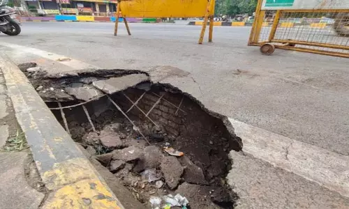 चूहों ने इंदौर के Shastri Bridge को नुकसान पहुंचाया, मरम्मत पर 75 लाख रुपये का खर्च