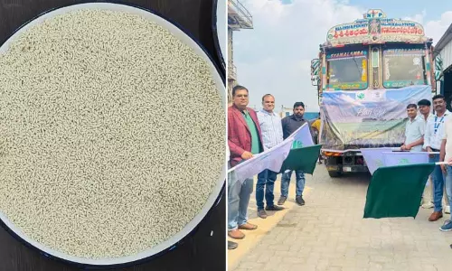 छत्तीसगढ़ का 12 मीट्रिक टन फोर्टिफाइड चावल कोस्टा रिका को निर्यात
