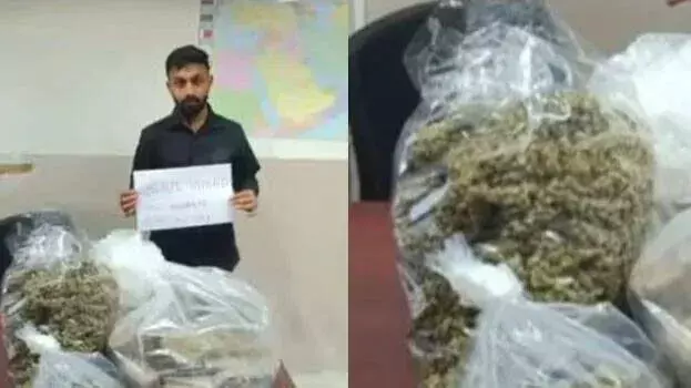 kerala: राज्य का सबसे बड़ा हाइब्रिड गांजा भंडाफोड़; 6 करोड़ रुपये की ड्रग्स ज़ब्त kerala: राज्य का सबसे बड़ा हाइब्रिड गांजा भंडाफोड़; 6 करोड़ रुपये की ड्रग्स ज़ब्त
