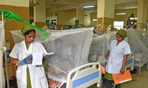 बांग्लादेश में डेंगू से चार और लोगों की मौत, मृतकों की संख्या 2025 के पार