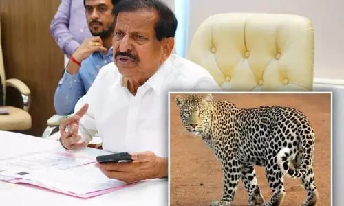 वन मंत्री ने बताया कि तेंदुओं को पकड़ने के लिए 1,000 पिंजरे खरीदे जाएंगे वन मंत्री ने बताया कि तेंदुओं को पकड़ने के लिए 1,000 पिंजरे खरीदे जाएंगे