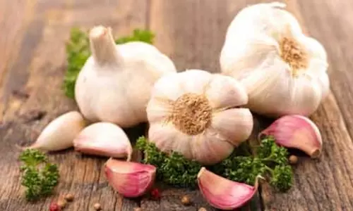 कच्चा लहसुन: Health लाभ और सावधानियाँ